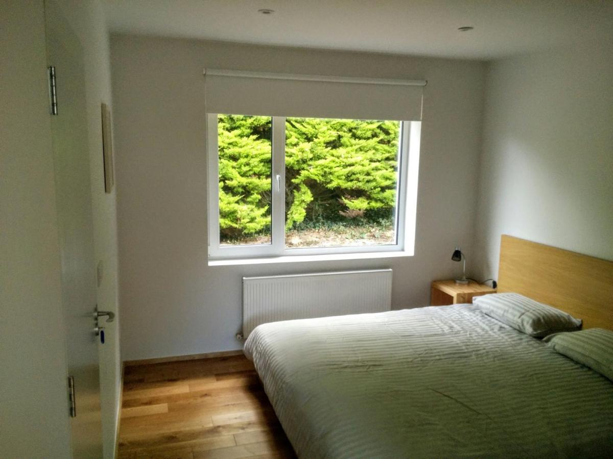 Spacious Contemporary Chalet Type Apartment. Galway Ngoại thất bức ảnh